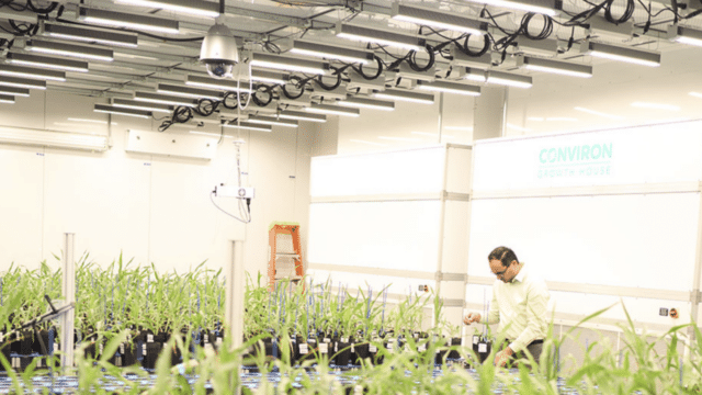 Bellwether Phenotyping Facility Research Lab